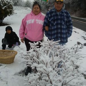 Meet your Posher, Cecilia